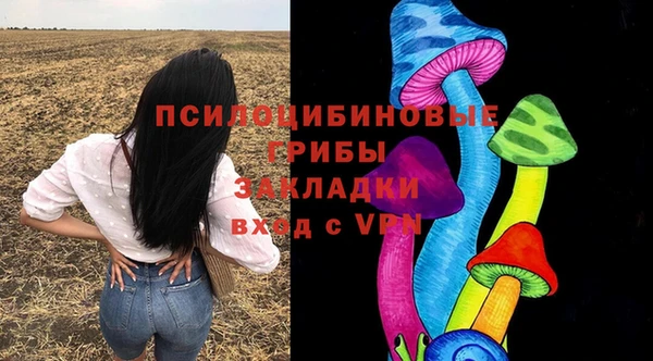 дурь Абаза