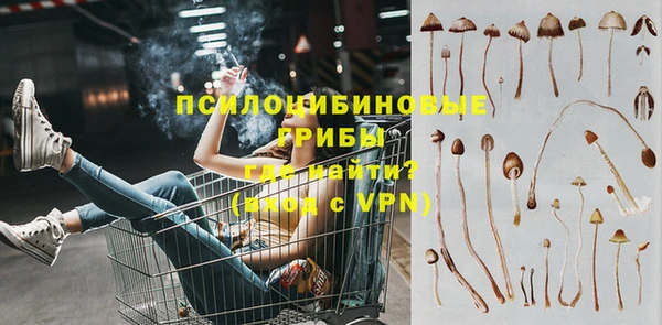 2c-b Абдулино