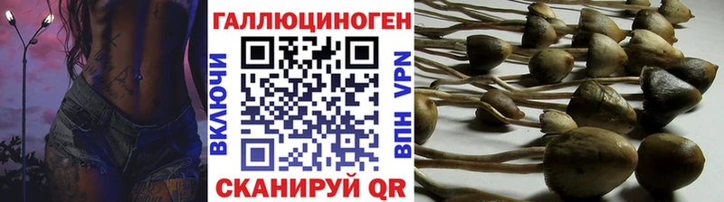 Галлюциногенные грибы Cubensis  продажа наркотиков  Благодарный 