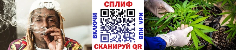 Канабис план  Благодарный 